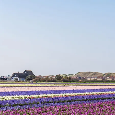 Hébergement de vacances Oostenwind - Aan Zee