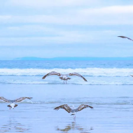 Tatil Evi Oostenwind - Aan Zee Julianadorp