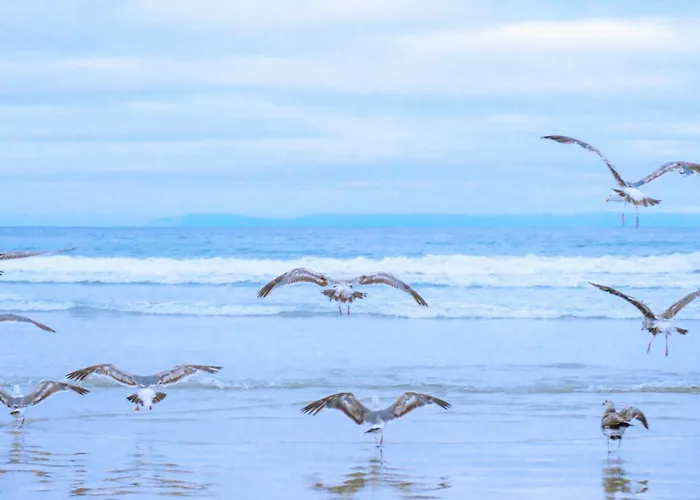 Tatil Evi Oostenwind - Aan Zee Julianadorp